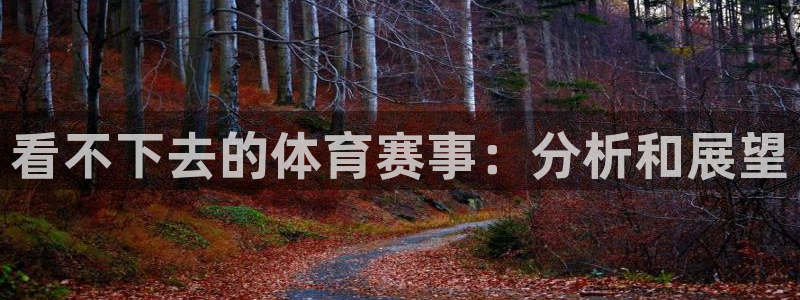 看不下去的体育赛事：分析和展望