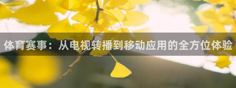 体育赛事：从电视转播到移动应用的全方位体验