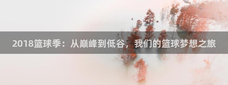 2018篮球季：从巅峰到低谷，我们的篮球梦想之旅