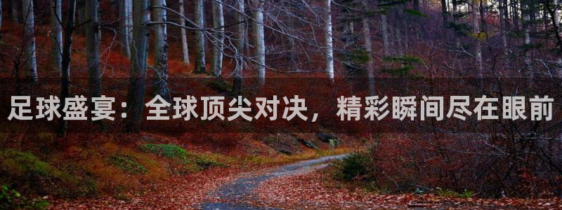 足球盛宴：全球顶尖对决，精彩瞬间尽在眼前
