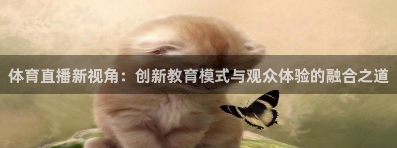 体育直播新视角：创新教育模式与观众体验的融合之道