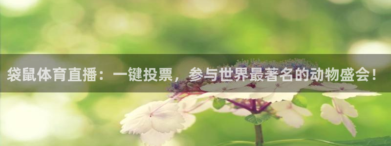 袋鼠体育直播：一键投票，参与世界最著名的动物盛会！