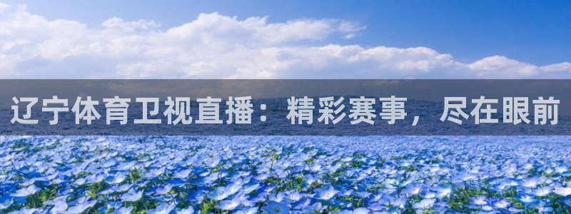 辽宁体育卫视直播：精彩赛事，尽在眼前