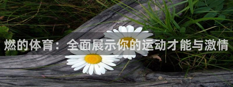 燃的体育：全面展示你的运动才能与激情