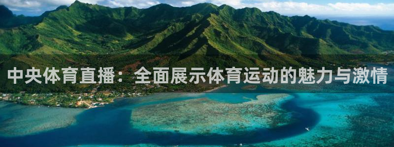 中央体育直播：全面展示体育运动的魅力与激情