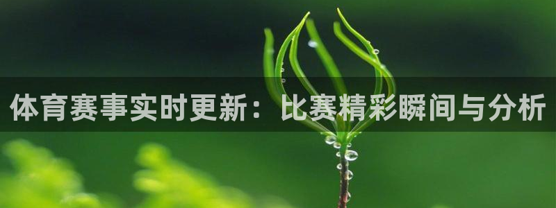 体育赛事实时更新：比赛精彩瞬间与分析