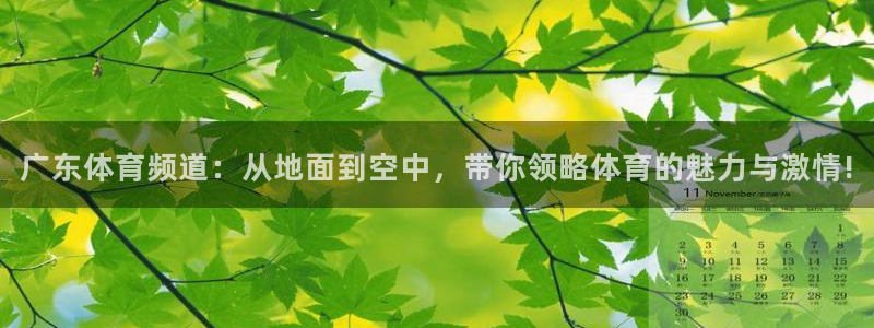 广东体育频道：从地面到空中，带你领略体育的魅力与激情!