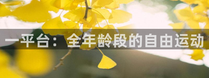 一平台：全年龄段的自由运动
